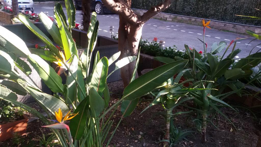 Hotel La Scogliera Bordighera Buitenkant foto